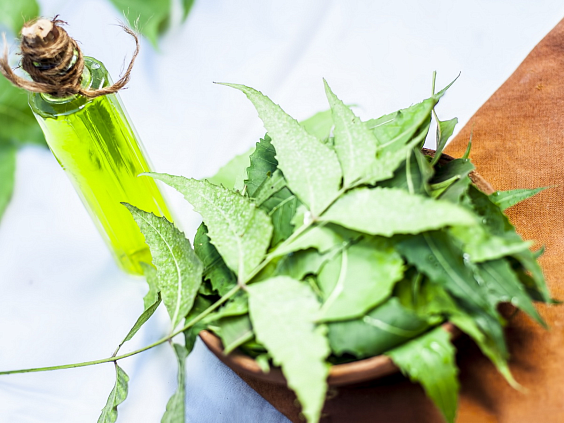 Prakriti in Ayurveda